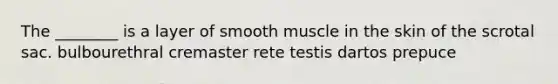 The ________ is a layer of smooth muscle in the skin of the scrotal sac. bulbourethral cremaster rete testis dartos prepuce