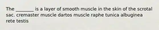 The ________ is a layer of smooth muscle in the skin of the scrotal sac. cremaster muscle dartos muscle raphe tunica albuginea rete testis