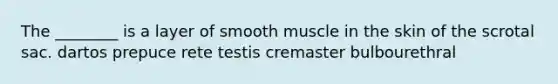 The ________ is a layer of smooth muscle in the skin of the scrotal sac. dartos prepuce rete testis cremaster bulbourethral