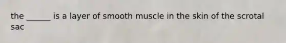 the ______ is a layer of smooth muscle in the skin of the scrotal sac