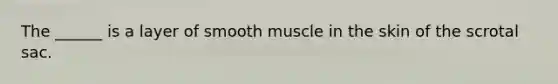 The ______ is a layer of smooth muscle in the skin of the scrotal sac.