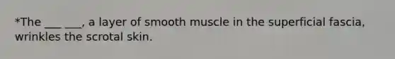 *The ___ ___, a layer of smooth muscle in the superficial fascia, wrinkles the scrotal skin.