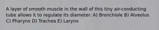 A layer of smooth muscle in the wall of this tiny air-conducting tube allows it to regulate its diameter. A) Bronchiole B) Alveolus C) Pharynx D) Trachea E) Larynx