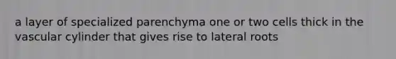 a layer of specialized parenchyma one or two cells thick in the vascular cylinder that gives rise to lateral roots