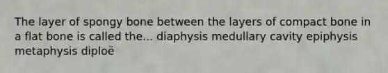 The layer of spongy bone between the layers of compact bone in a flat bone is called the... diaphysis medullary cavity epiphysis metaphysis diploë