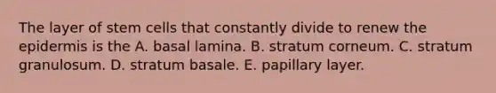 The layer of stem cells that constantly divide to renew the epidermis is the A. basal lamina. B. stratum corneum. C. stratum granulosum. D. stratum basale. E. papillary layer.