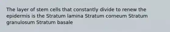 The layer of stem cells that constantly divide to renew the epidermis is the Stratum lamina Stratum corneum Stratum granulosum Stratum basale