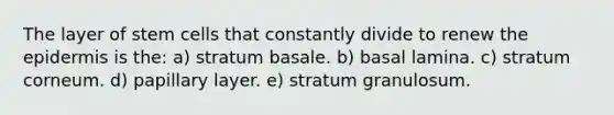 The layer of stem cells that constantly divide to renew the epidermis is the: a) stratum basale. b) basal lamina. c) stratum corneum. d) papillary layer. e) stratum granulosum.