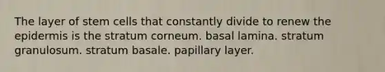 The layer of stem cells that constantly divide to renew <a href='https://www.questionai.com/knowledge/kBFgQMpq6s-the-epidermis' class='anchor-knowledge'>the epidermis</a> is the stratum corneum. basal lamina. stratum granulosum. stratum basale. papillary layer.