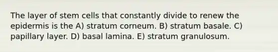 The layer of stem cells that constantly divide to renew <a href='https://www.questionai.com/knowledge/kBFgQMpq6s-the-epidermis' class='anchor-knowledge'>the epidermis</a> is the A) stratum corneum. B) stratum basale. C) papillary layer. D) basal lamina. E) stratum granulosum.