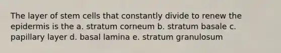 The layer of stem cells that constantly divide to renew <a href='https://www.questionai.com/knowledge/kBFgQMpq6s-the-epidermis' class='anchor-knowledge'>the epidermis</a> is the a. stratum corneum b. stratum basale c. papillary layer d. basal lamina e. stratum granulosum