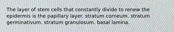 The layer of stem cells that constantly divide to renew the epidermis is the papillary layer. stratum corneum. stratum germinativum. stratum granulosum. basal lamina.