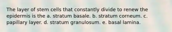 The layer of stem cells that constantly divide to renew the epidermis is the a. stratum basale. b. stratum corneum. c. papillary layer. d. stratum granulosum. e. basal lamina.