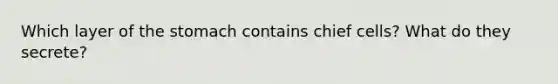 Which layer of the stomach contains chief cells? What do they secrete?