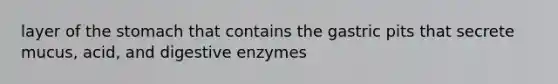 layer of the stomach that contains the gastric pits that secrete mucus, acid, and digestive enzymes