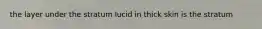 the layer under the stratum lucid in thick skin is the stratum