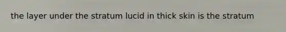 the layer under the stratum lucid in thick skin is the stratum