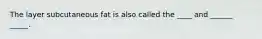 The layer subcutaneous fat is also called the ____ and ______ _____.