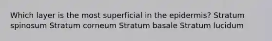 Which layer is the most superficial in the epidermis? Stratum spinosum Stratum corneum Stratum basale Stratum lucidum