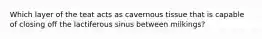 Which layer of the teat acts as cavernous tissue that is capable of closing off the lactiferous sinus between milkings?