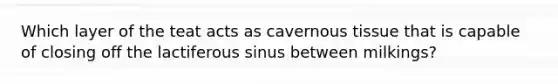 Which layer of the teat acts as cavernous tissue that is capable of closing off the lactiferous sinus between milkings?