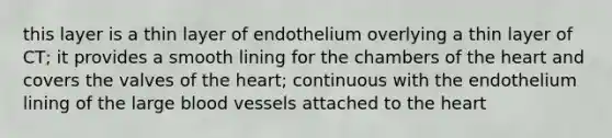 this layer is a thin layer of endothelium overlying a thin layer of CT; it provides a smooth lining for the chambers of the heart and covers the valves of the heart; continuous with the endothelium lining of the large blood vessels attached to the heart