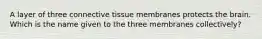 A layer of three connective tissue membranes protects the brain. Which is the name given to the three membranes collectively?