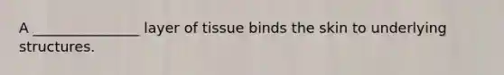 A _______________ layer of tissue binds the skin to underlying structures.