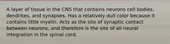 A layer of tissue in the CNS that contains neurons cell bodies, dendrites, and synapses. Has a relatively dull color because it contains little myelin. Acts as the site of synaptic contact between neurons, and therefore is the site of all neural integration in the spinal cord.