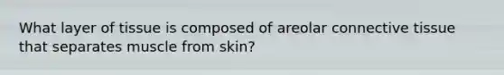 What layer of tissue is composed of areolar connective tissue that separates muscle from skin?