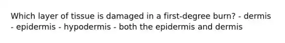 Which layer of tissue is damaged in a first-degree burn? - dermis - epidermis - hypodermis - both <a href='https://www.questionai.com/knowledge/kBFgQMpq6s-the-epidermis' class='anchor-knowledge'>the epidermis</a> and dermis