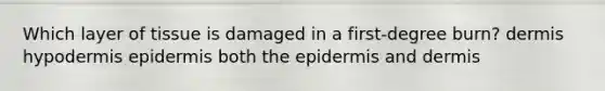 Which layer of tissue is damaged in a first-degree burn? dermis hypodermis epidermis both the epidermis and dermis