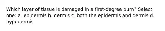 Which layer of tissue is damaged in a first-degree burn? Select one: a. epidermis b. dermis c. both the epidermis and dermis d. hypodermis