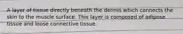 A layer of tissue directly beneath the dermis which connects the skin to the muscle surface. This layer is composed of adipose tissue and loose connective tissue.