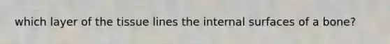 which layer of the tissue lines the internal surfaces of a bone?