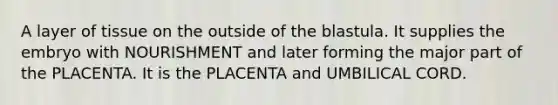 A layer of tissue on the outside of the blastula. It supplies the embryo with NOURISHMENT and later forming the major part of the PLACENTA. It is the PLACENTA and UMBILICAL CORD.