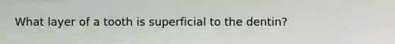 What layer of a tooth is superficial to the dentin?
