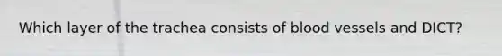 Which layer of the trachea consists of blood vessels and DICT?
