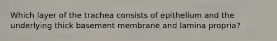 Which layer of the trachea consists of epithelium and the underlying thick basement membrane and lamina propria?