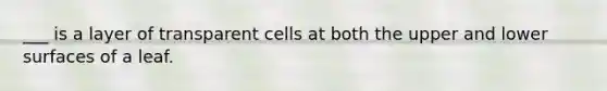 ___ is a layer of transparent cells at both the upper and lower surfaces of a leaf.