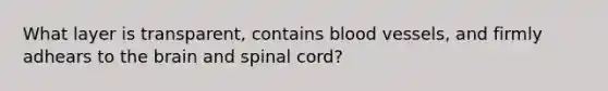 What layer is transparent, contains blood vessels, and firmly adhears to the brain and spinal cord?