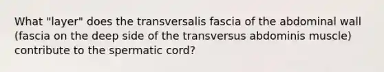 What "layer" does the transversalis fascia of the abdominal wall (fascia on the deep side of the transversus abdominis muscle) contribute to the spermatic cord?