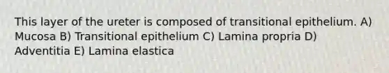 This layer of the ureter is composed of transitional epithelium. A) Mucosa B) Transitional epithelium C) Lamina propria D) Adventitia E) Lamina elastica