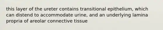 this layer of the ureter contains transitional epithelium, which can distend to accommodate urine, and an underlying lamina propria of areolar <a href='https://www.questionai.com/knowledge/kYDr0DHyc8-connective-tissue' class='anchor-knowledge'>connective tissue</a>