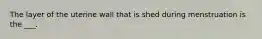 The layer of the uterine wall that is shed during menstruation is the ___.