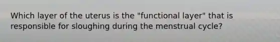 Which layer of the uterus is the "functional layer" that is responsible for sloughing during the menstrual cycle?