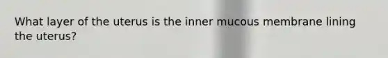 What layer of the uterus is the inner mucous membrane lining the uterus?