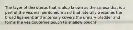 The layer of the uterus that is also known as the serosa that is a part of the visceral peritoneum and that laterally becomes the broad ligament and anteriorly covers the urinary bladder and forms the vesicouterine pouch (a shallow pouch)