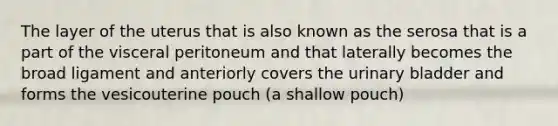 The layer of the uterus that is also known as the serosa that is a part of the visceral peritoneum and that laterally becomes the broad ligament and anteriorly covers the urinary bladder and forms the vesicouterine pouch (a shallow pouch)