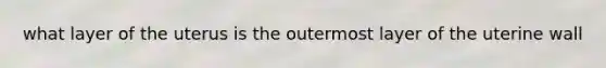 what layer of the uterus is the outermost layer of the uterine wall